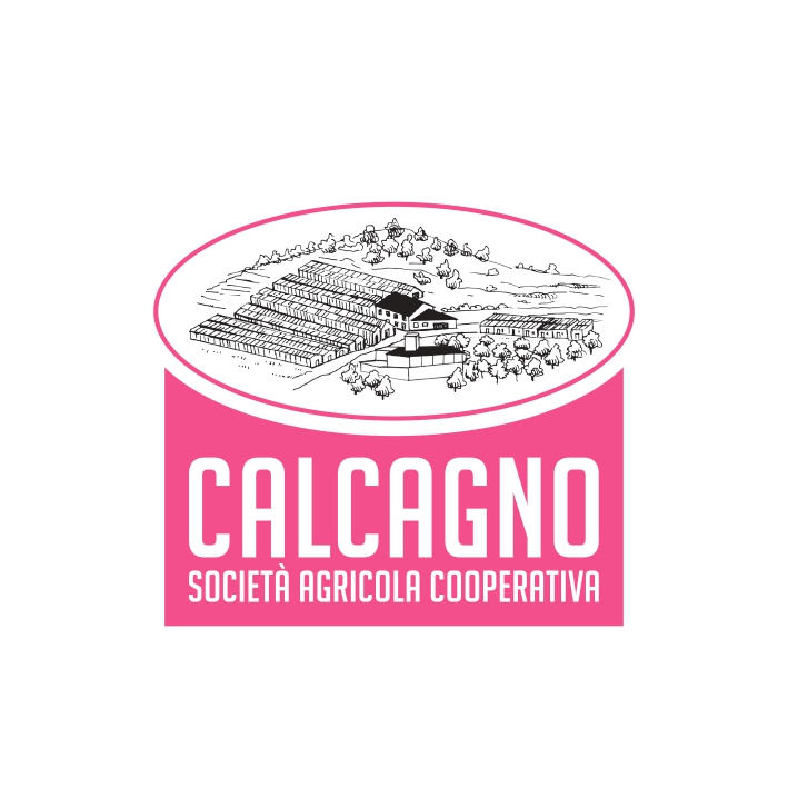 Calcagno